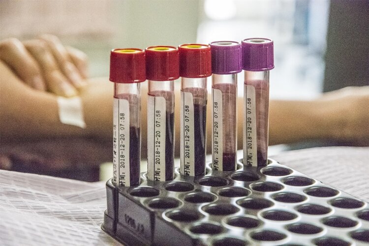 Parents should be reminded that these four physical examination items are a waste of money and are really unnecessary.