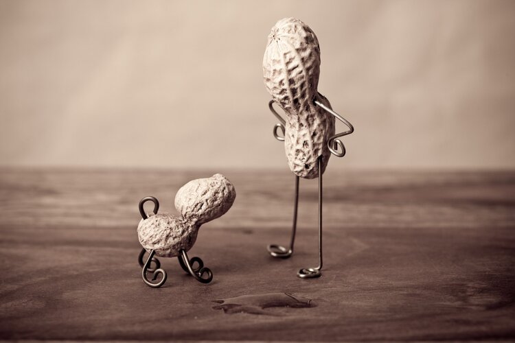 Peanuts: Longevity Food or Cancer Risk? Myths Debunked