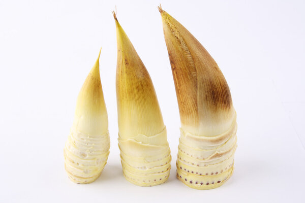 How to Safely Eat Bamboo Shoots: 5 Essential Spring Tips