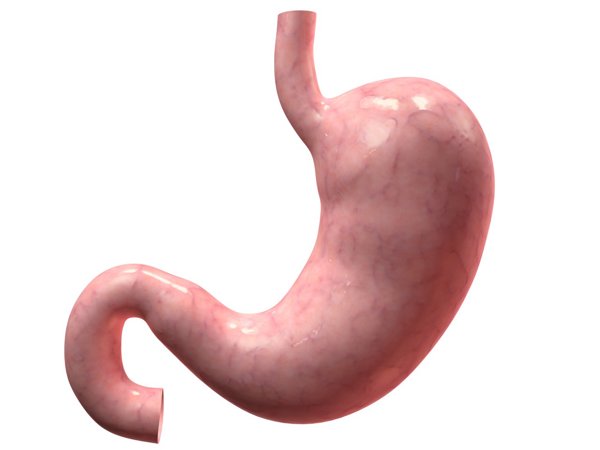3 Natural Ways to Treat Excessive Stomach Acid